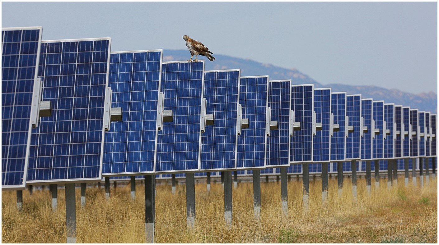 Red Horse wind and solar facility near Wilcox, Arizona 4